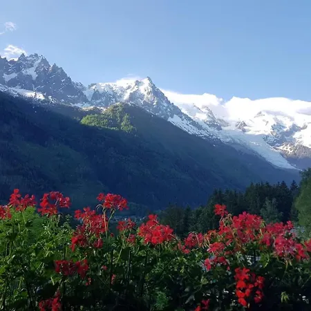 Edelweiss Yoga Chalet * Chamonix